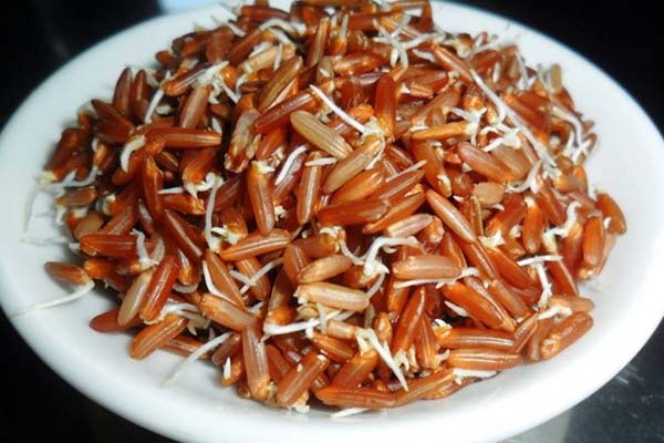Ủ gạo lên mầm để tăng giá trị dinh dưỡng