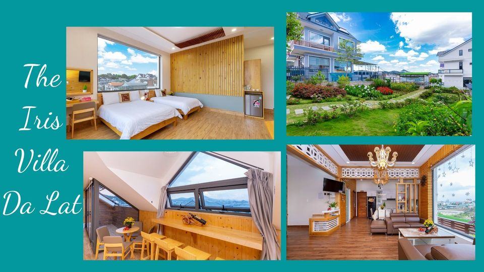 Top 20 Biệt thự villa Đà Lạt tốt nhất view rừng thông có hồ bơi phong cách Châu Âu hiện đại