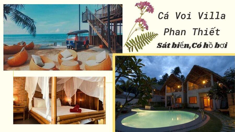 Top 20 Biệt thự villa Mũi Né Phan Thiết giá rẻ view biển đẹp đẳng cấp nhất