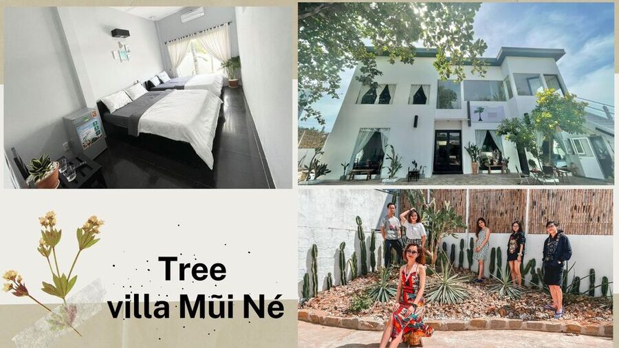 Top 20 Biệt thự villa Mũi Né Phan Thiết giá rẻ view biển đẹp đẳng cấp nhất